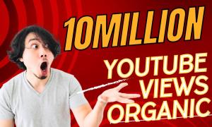 I will do your master youtube organic growth