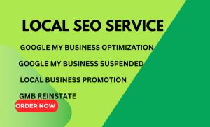 I will do local SEO service for google my business