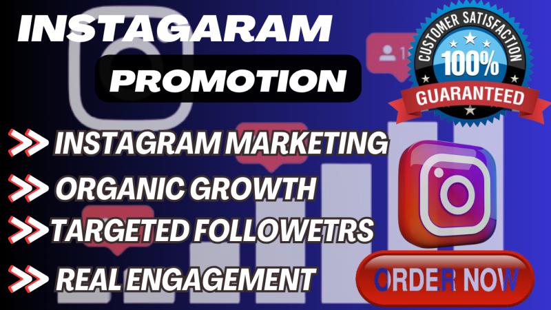 I will do instagram management, promotion for real and organic I growth