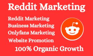 I will do reddit promotion to market business, website and ecommerce viral reddit ads