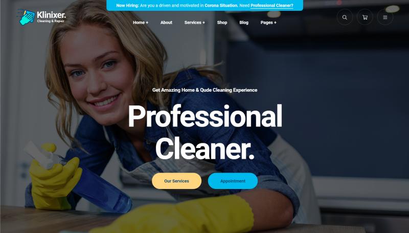 I will build house cleaning service website, office cleaning website janitorial website