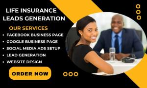 I will provide life insurance, high-quality life insurance leads and insurance