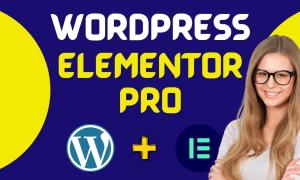 I will build wordpress website and wordpress landing page using wordpress elementor pro