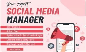 I will be your social media expert, content creator and social media post designer