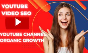 do best youtube video SEO expert optimization and channel growth manager