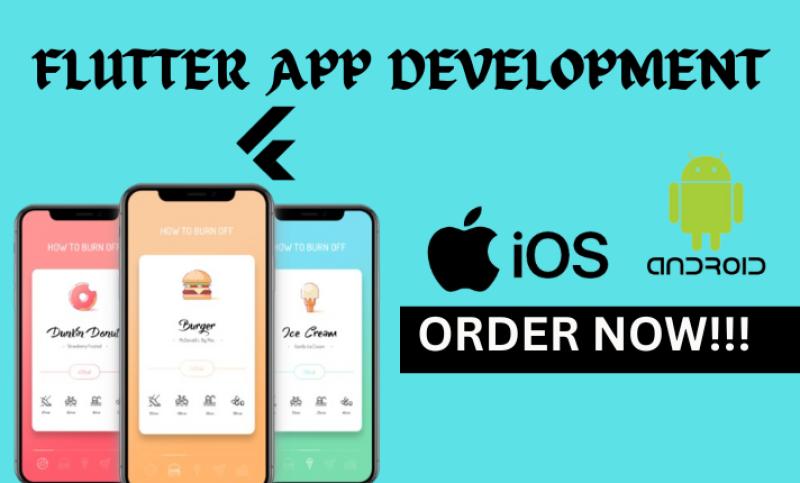 I will do custom flutter app development, build flutter mobile app, flutter developer