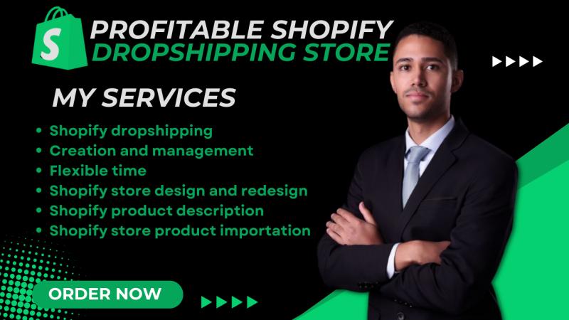 I will build or create a high converting dropshipping store shopify website design