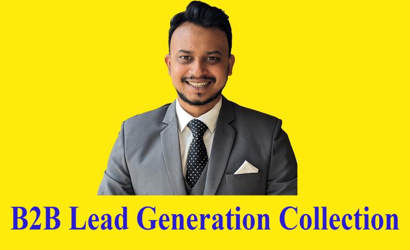I will do B2B Lead Generation Collection