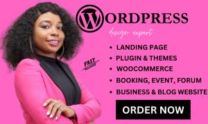 I will WordPress Website Design on WordPress Website Design