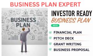 I will write an investor ready and fundraising business plan, grants, proposal