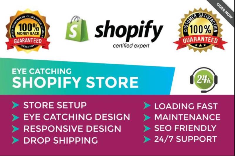 I will build a standard dropshipping Shopify store Shopify website