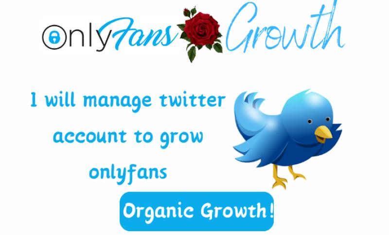 I will do onlyfans page promotion adult weblink promotion twitter management subscriber
