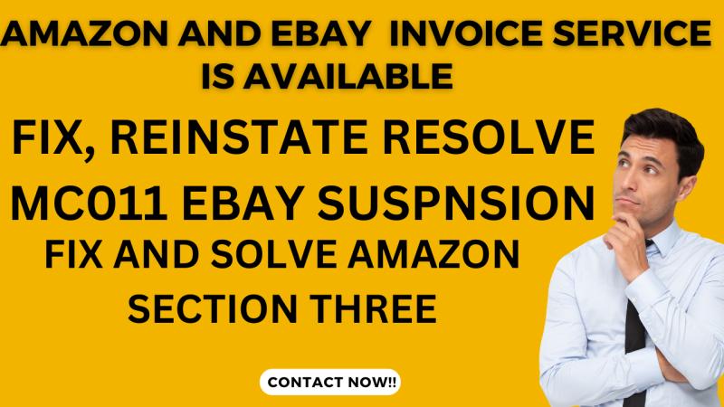 I will create Amazon Standard Invoice, Amazon Section3 Appeal, eBay MC011 Reinstatement