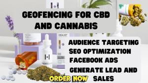I will setup geofencing ads campaign to target 10 locations with a 40k audience