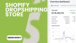 I will build standard quality Shopify store to boost your dropshipping conversation
