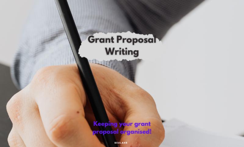 I will develop winning grant proposals and applications for nonprofits