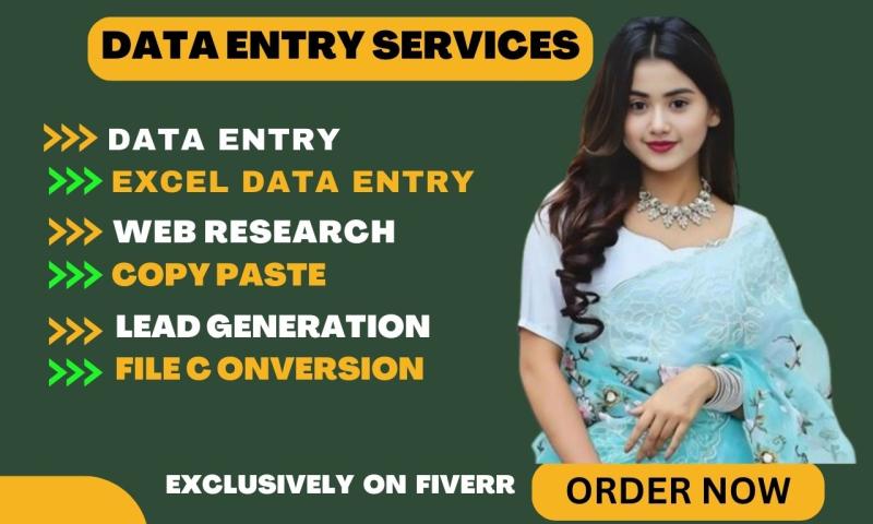 I will do excel data entry web research and copy paste job