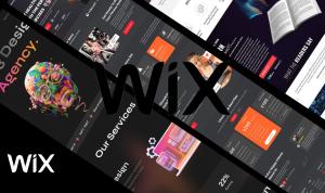 I will develop custom websites with API, Wix Velo Code, Database Integration, and Wix SEO