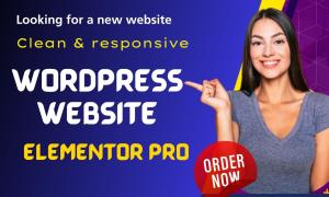 I will build business and ecommerce website or wordpress blogs using elementor pro