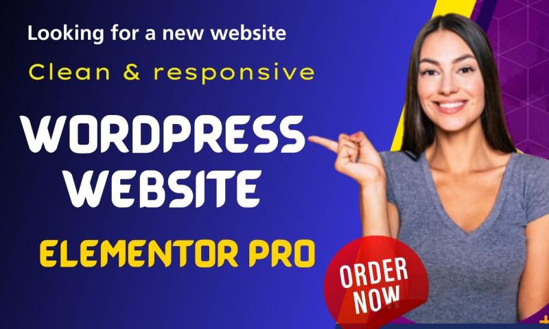 I will build business and ecommerce website or wordpress blogs using elementor pro