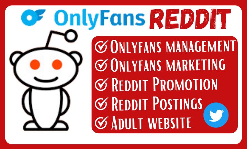 I Will Manage OnlyFans Page Adult Web Link Promotion via Reddit OnlyFans Link
