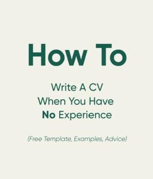 I will deliver professional resume writing services
