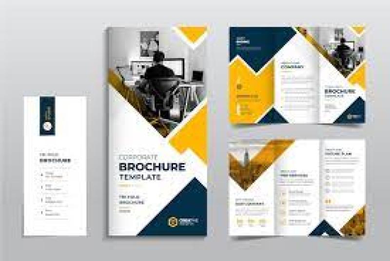 I will do brochure design, creative brochure design, trifold design service