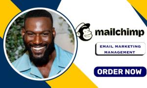 I will do Mailchimp landing page email marketing Mailchimp email campaign