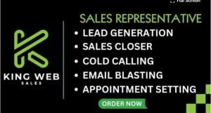 I will be your sales representative sales closer email blasting and lead generator