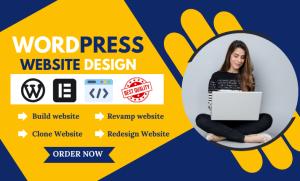 I will WordPress website revamp, website clone, website WordPress redesign