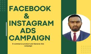 I will manage profitable facebook and instagram ads campaign