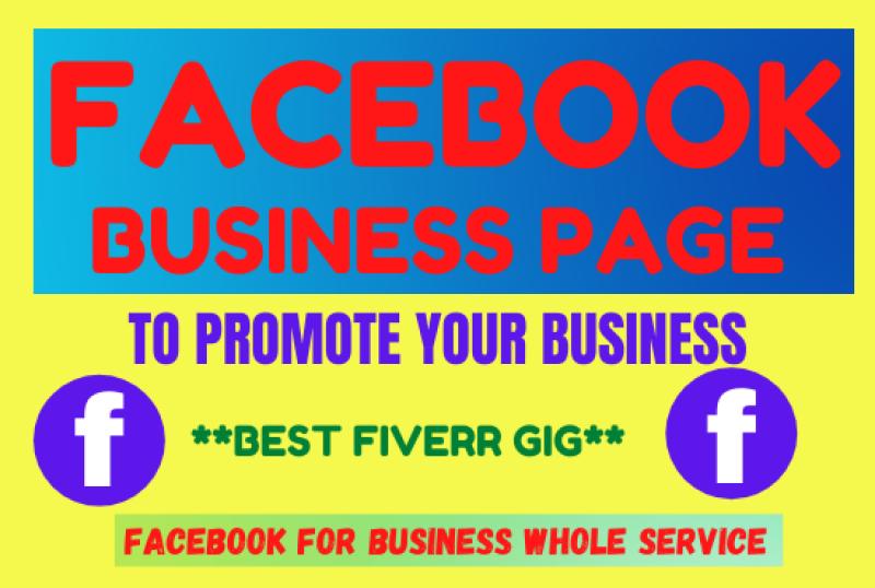 I will set up an impressive Facebook Business Page