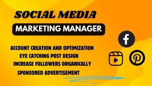 I Will Manage Instagram, Facebook Ads, and Social Media Marketing
