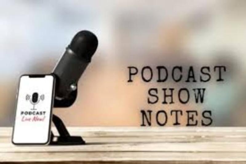 I will create entertaining and informative podcast show notes in one day