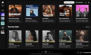 I will do music artist band label ecommerce website on wordpress, shopify