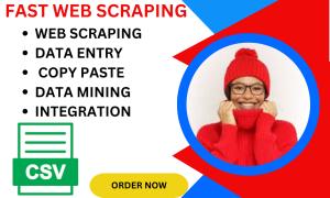 Do Web Scraping, Data Mining, Collection and Extraction of Any Data Scraper
