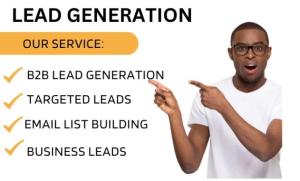 I will provide targeted b2b lead generation, email list building across any industry