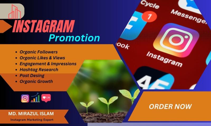 I will do organic Instagram promotion for super fast organic growth