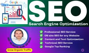 I will optimize website SEO on WordPress, Shopify, Wix, Squarespace