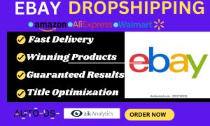 I will do ebay dropshipping to shopify ebay listing ebay seo shopify dropshipping sales