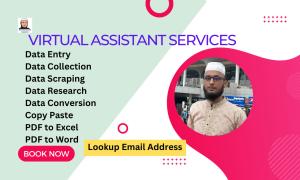 I will lookup email addresses and phone numbers with any data entry work