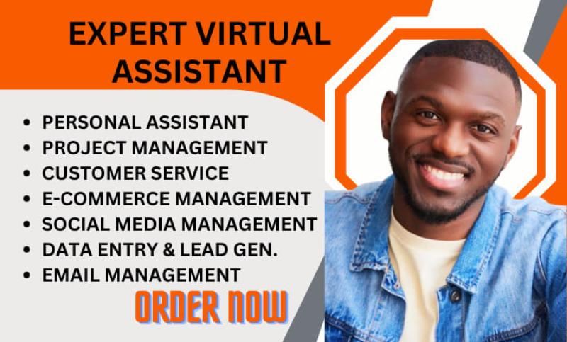 I will be your personal administrative assistant and virtual secretary assistant