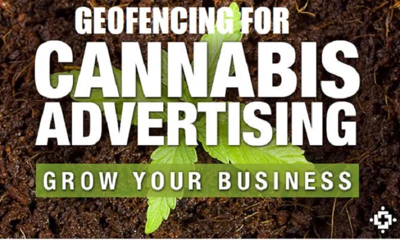 I will create geofencing campaign that target CBD, cannabis and drive sales