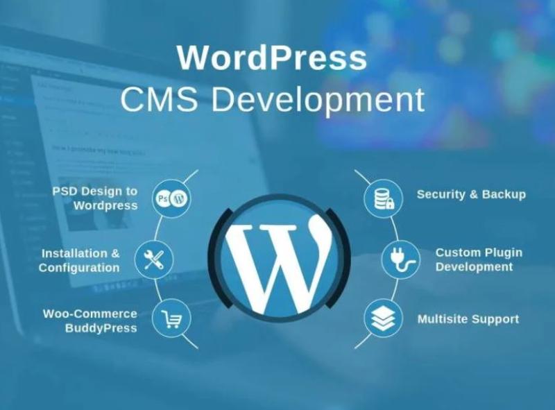 I will create a professional wordpress website with a responsive landing page design