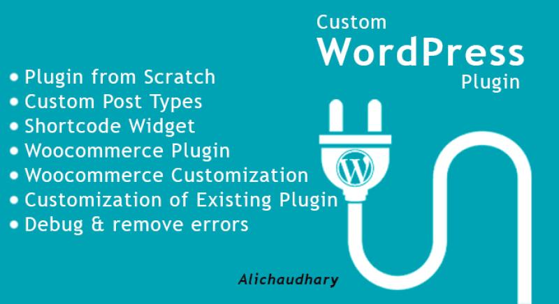 I will develop custom wordpress plugin from scratch