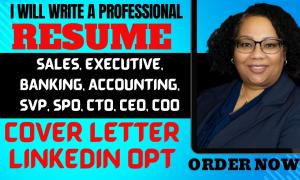 I will write impact resumes for sales executive director senior roles svp CEO VIP cto