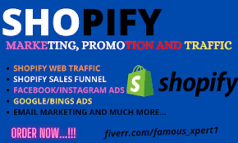 i will complete shopify seo for ecommerce ranking sales