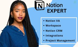 I will create Notion template, Notion website, Notion database as a Notion expert