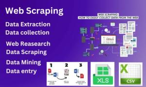 I will find active b2b leads, any business list building