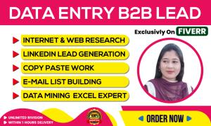 Data entry B2B lead LinkedIn and web research expert